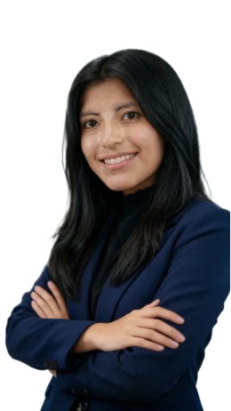 Desarrollo de software